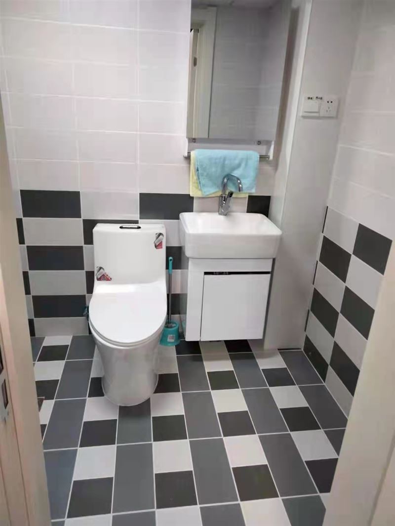 瓦工。測漏水